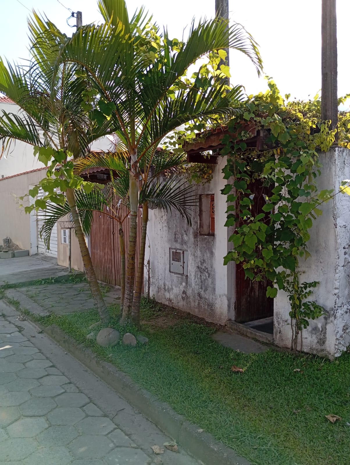 CAS261435 More com Praticidade: Casa com Suíte e Amplo Quintal em Travessa Comercial.